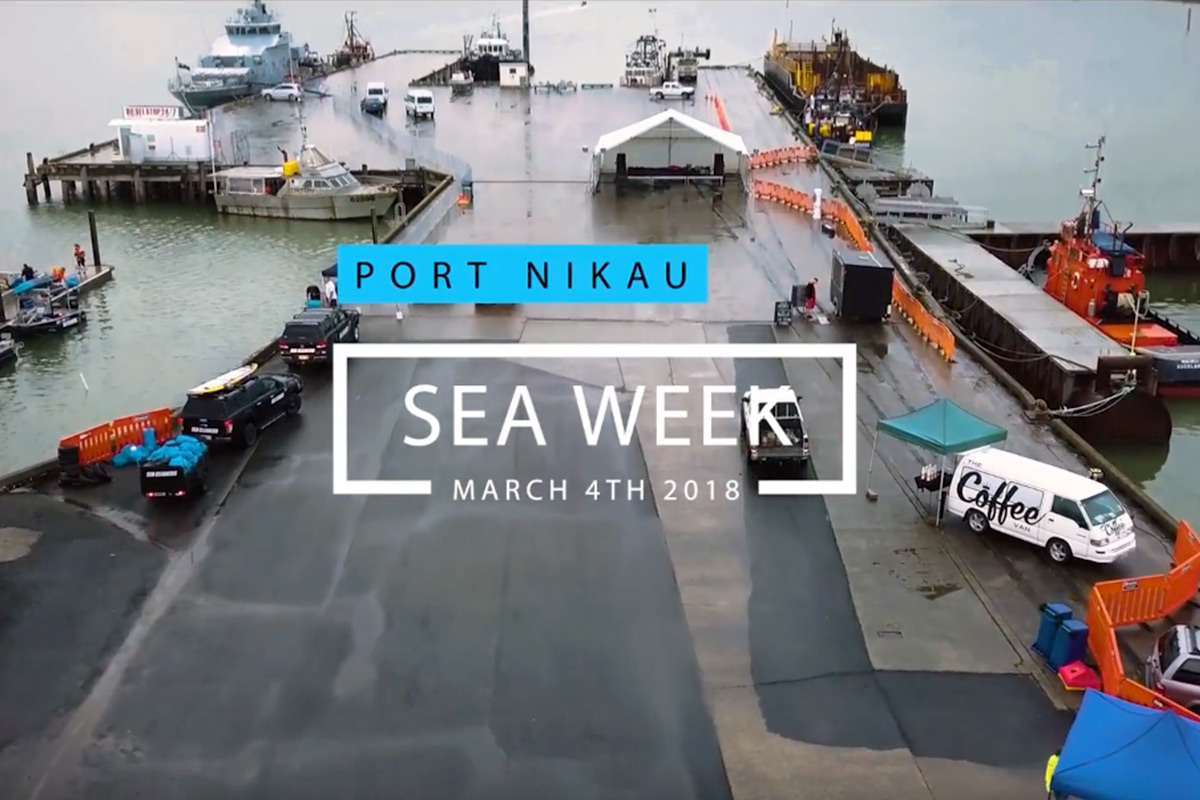 Port Nikau